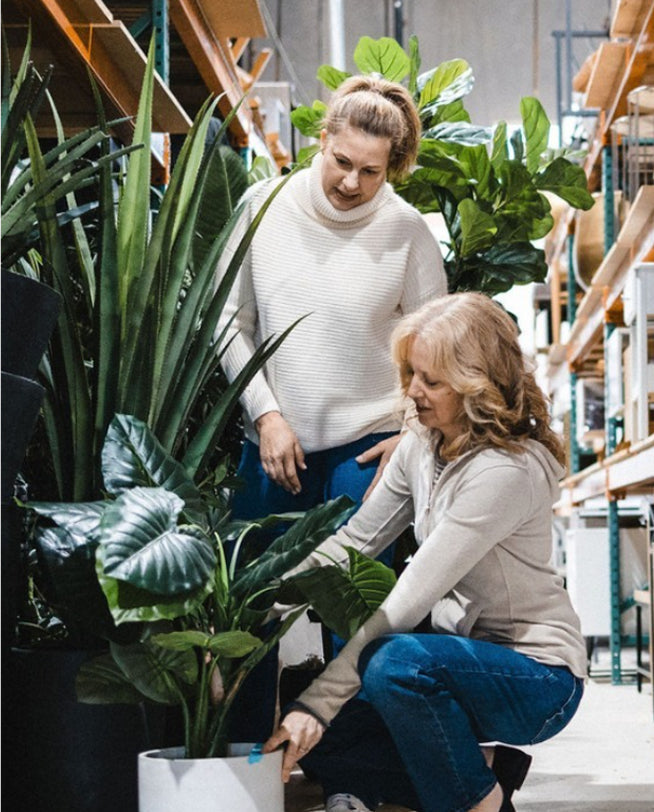 Incorporating Greenery in Staging
