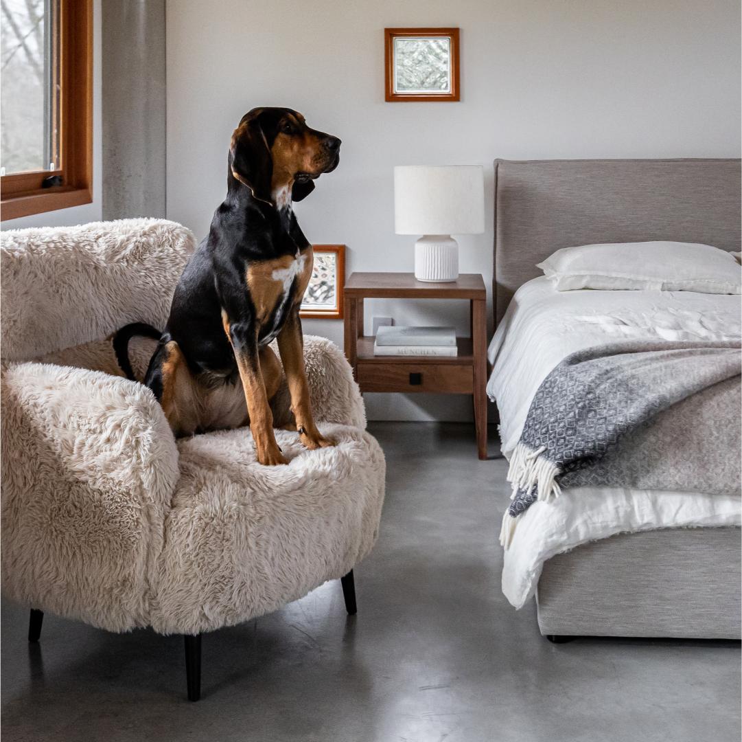 Julia King Storage Bed Short - Sand