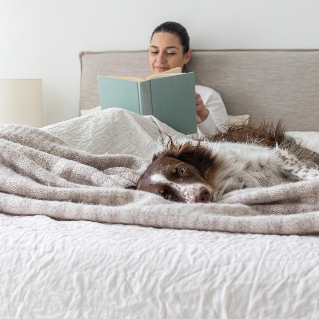 Julia Queen Bed Short - Sand