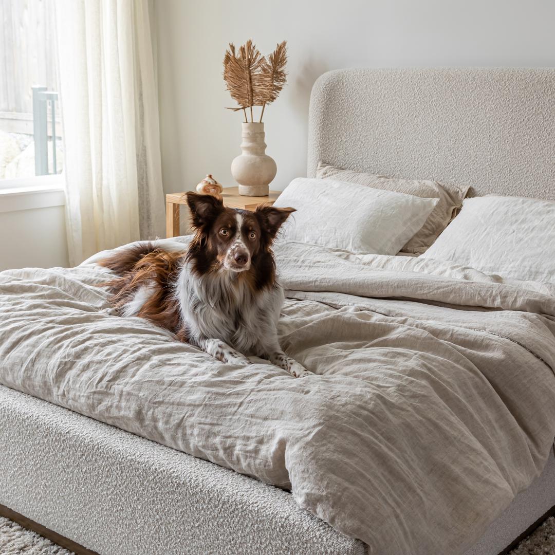 Faye Queen Bed Short - Off White