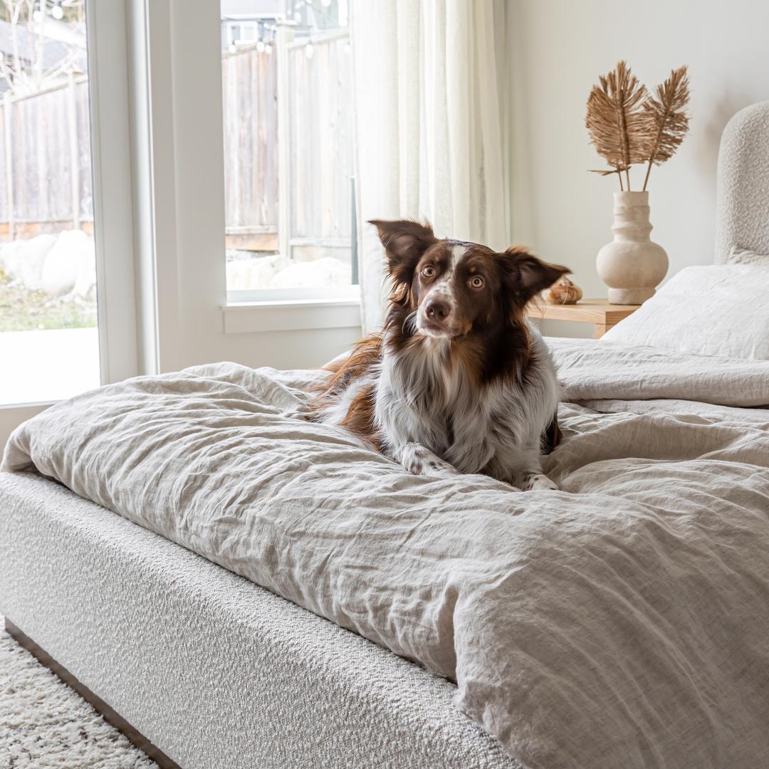 Faye King Bed - Off White