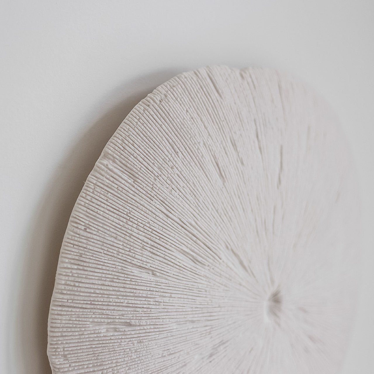Sand Dollar - L