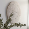 Sand Dollar - M