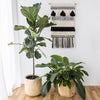 Bohemian Nepal Macrame Wall Hanging