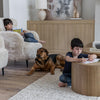 Forma Nesting Coffee Tables (Set of 2) - Rustic Oak