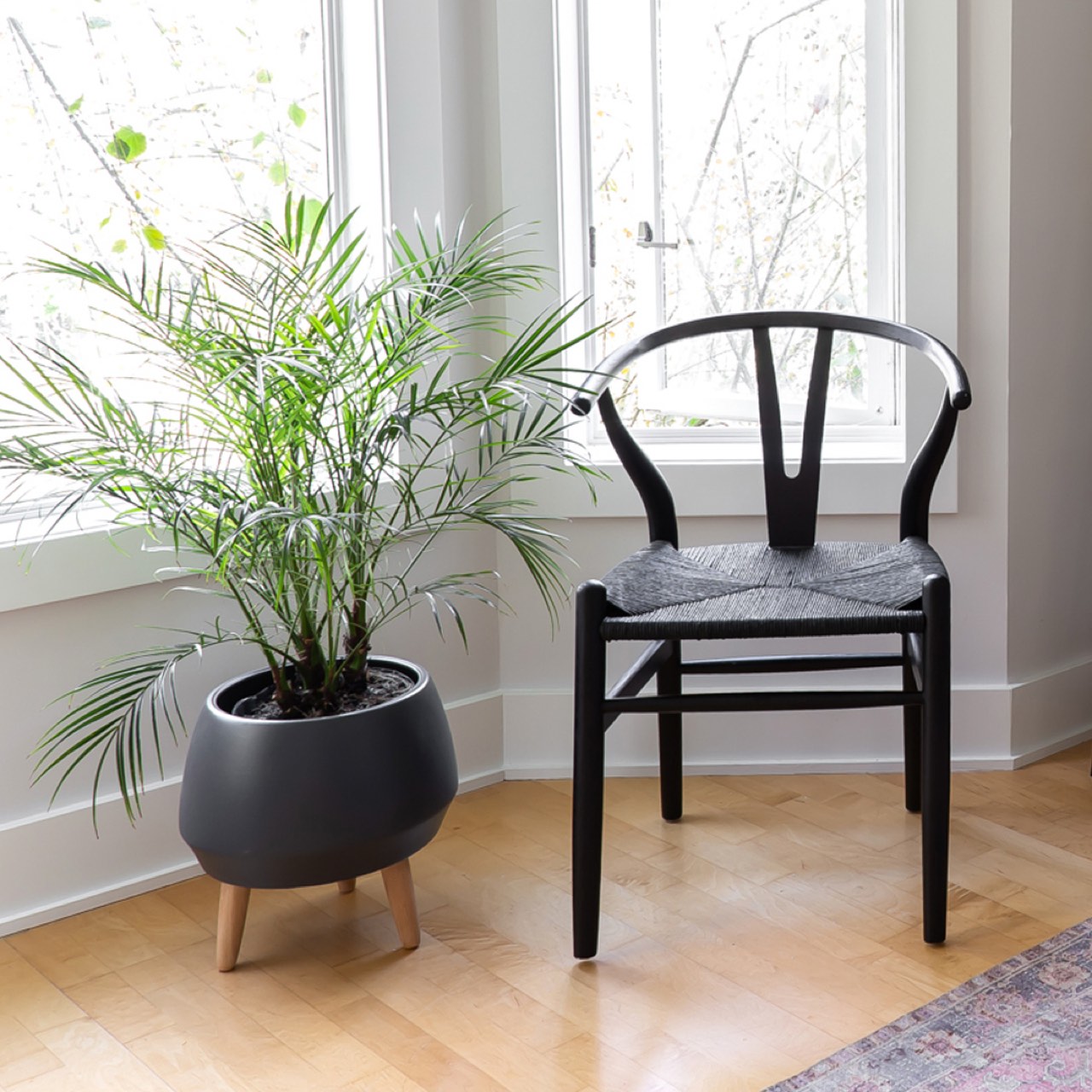Frida Dining Chair - Matte Black