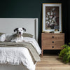 Hara 3 Drawer Dresser - Frozen Walnut