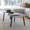 Malibu Coffee Table Set of 2 - Black