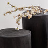 Nova Wide 16" Stump - Round - Black